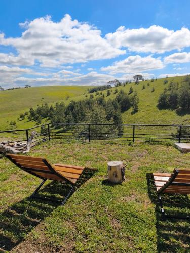 zwei Bänke, die im Gras auf einem Feld stehen in der Unterkunft HUUT in Zlatibor