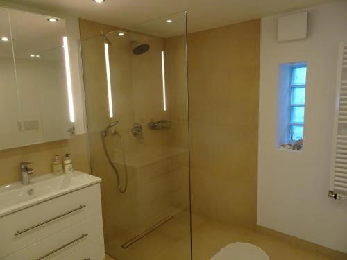 a bathroom with a glass shower and a sink at Apartment am Weinberg in Deidesheim