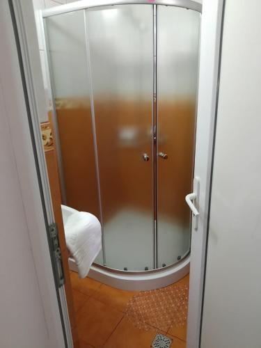 a glass shower door with a roll of toilet paper at Vila Roxy Costinesti in Schitul