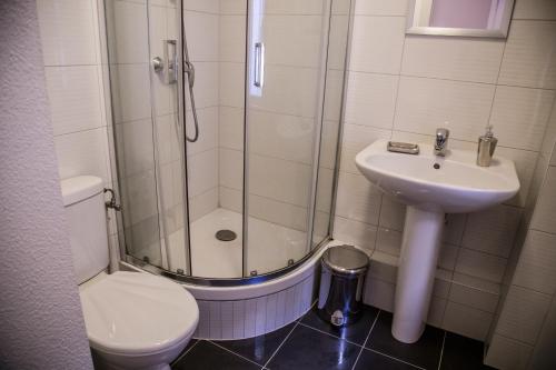 W łazience znajduje się prysznic, toaleta i umywalka. w obiekcie Magnifique studio proche Cathédrale w Strasburgu