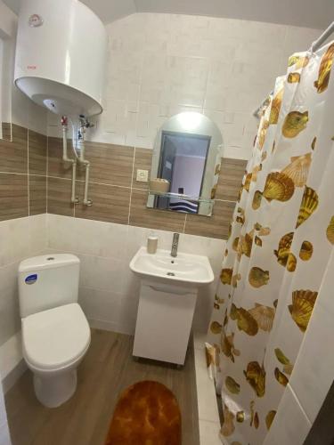a bathroom with a toilet and a sink and a mirror at Bugazik in Karolino-Buhaz