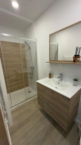 a bathroom with a sink and a shower at Cosy Appartement avec Parking in Feugarolles