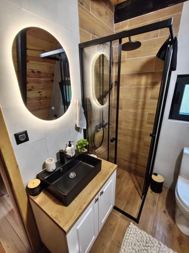 a bathroom with a sink and a shower at Zvezdana šuma in Žabljak