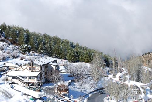 un rifugio da sci nella neve con gli alberi di Hotel Sulayr a Sierra Nevada