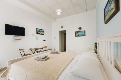 ein Schlafzimmer mit einem großen Bett und einem Fernseher an der Wand in der Unterkunft RIO - nice room, near the sea and park in Novigrad Istria