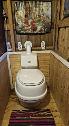 a bathroom with a toilet in a wooden room at Peaceful riverside cottage with sauna in Myllykylä