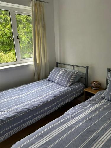 two beds sitting in a room with a window at Affordable Saundersfoot Holidays in Pembrokeshire