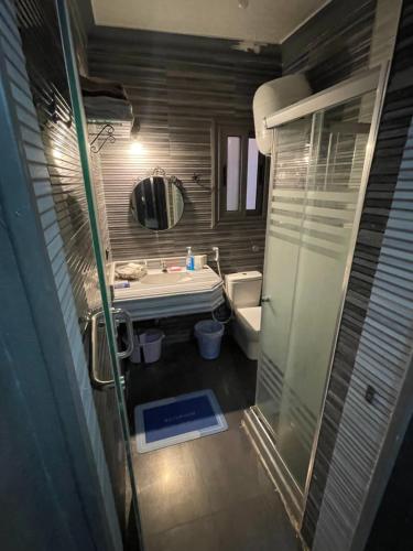 a bathroom with a sink and a toilet and a mirror at Dora home in Cairo