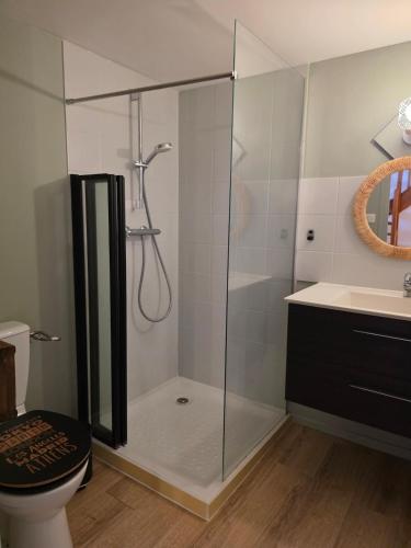 a bathroom with a shower with a toilet and a sink at L'Écrin Historique - Duplex - Vieux Chaumont in Chaumont