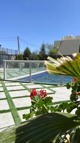 a plant with red flowers next to a swimming pool at شالية الشفق in Al ‘Aqar