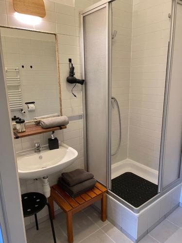 a bathroom with a sink and a shower at Villa Brzozowy Gaj in Karpacz