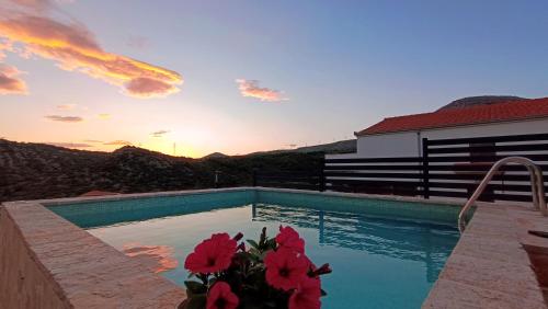 a house with a swimming pool with red flowers at Apartment Igralište Mirakul in Seget Vranjica