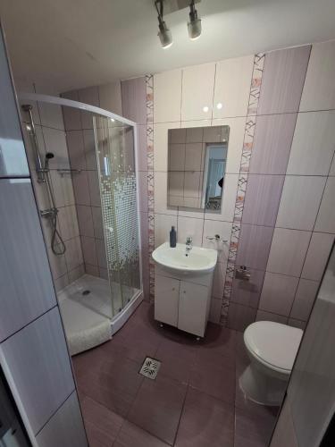 a bathroom with a sink and a shower and a toilet at Casuta din Crang in Moieciu de Jos