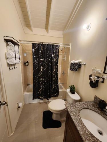 a bathroom with a toilet and a sink and a shower at Honeycomb Oceanview Villa in Falmouth