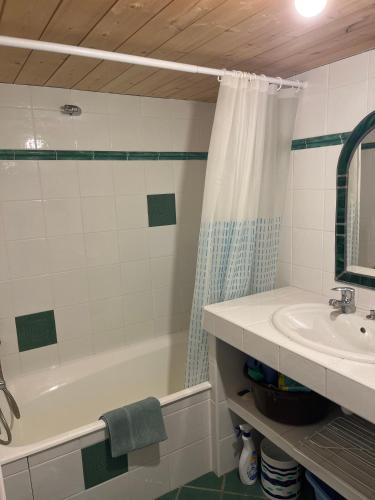 a bathroom with a bath tub and a sink at Chalet La Grangette in Abondance
