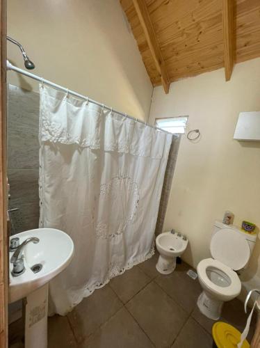 a bathroom with a toilet and a sink and a shower at Cabañas Aires de Campo II in Victoria