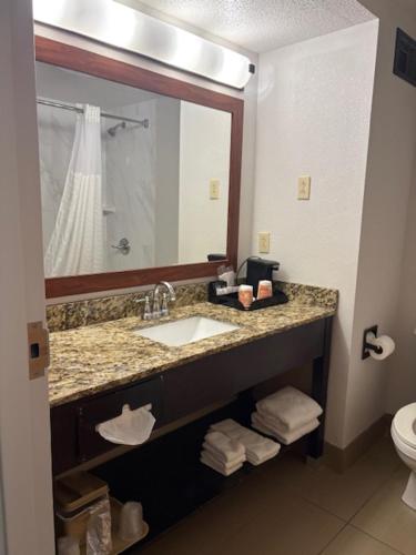 a bathroom with a sink and a mirror and a toilet at Comfort Suites Richmond in Richmond