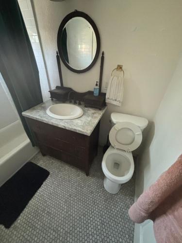 a bathroom with a sink and a toilet and a mirror at The Ardmore Home Share in Los Angeles