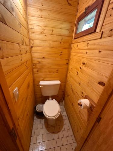 a bathroom with a toilet in a wooden cabin at Las Carpitas in Villa Mascardi