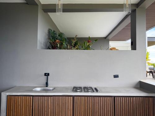 a kitchen with a sink and a plant on the wall at Altavista Cabin Rest House in Barbosa
