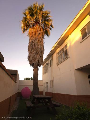 a palm tree and a picnic table in front of a building at Habitación en renta in Saltillo