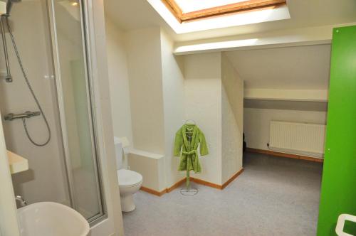 a bathroom with a toilet and a green coat on a rack at La Recreation in Somme-Leuze