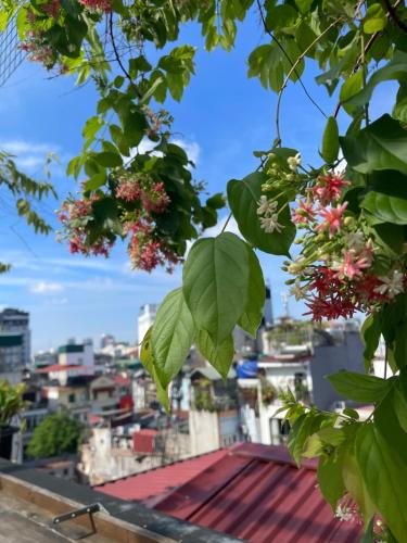 a view of a city from a tree with flowers at Hanoi Quarter Life Hostel in Hanoi
