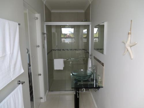 a bathroom with a glass sink and a shower at Sunbird Cottage in Noordhoek