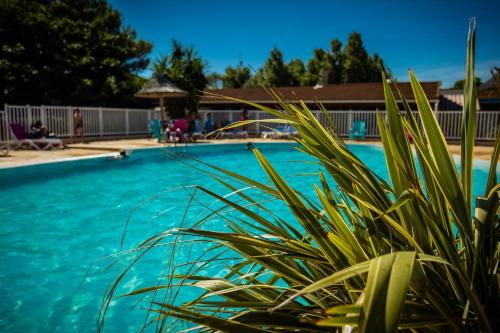 Photo de la galerie de l'établissement Camping Rives des Corbières, à Port-Leucate
