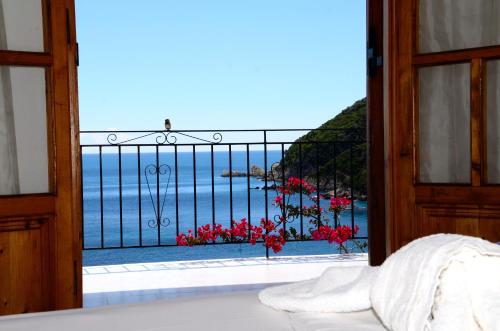 Φυσικό τοπίο κοντά σε αυτό το διαμέρισμα