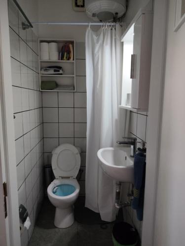 a small bathroom with a toilet and a sink at Manolia !!! in Kranidi