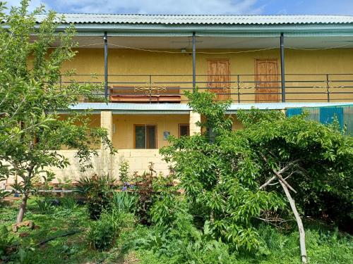 a yellow house with trees in front of it at " UMAR " Guest house in Tong