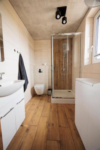 a bathroom with a shower and a toilet at Agroturystyka Oliweczka 24 in Potok Wielki