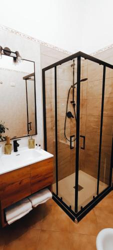 a bathroom with a shower and a white sink at Gina&Gian Guest House in Olbia