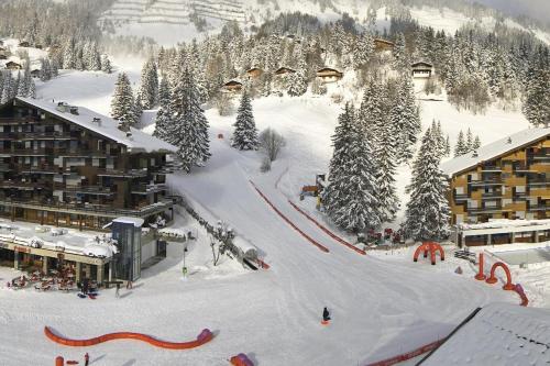 Ski-in Apartment in Anzere