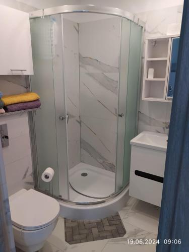 a bathroom with a shower and a toilet at Siedlisko - Lipnik, cisza spokój wsród drzew in Nielisz