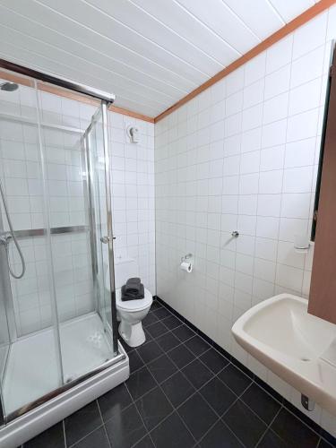 a bathroom with a shower and a toilet and a sink at StarapApartment Odda 3 BR in Odda