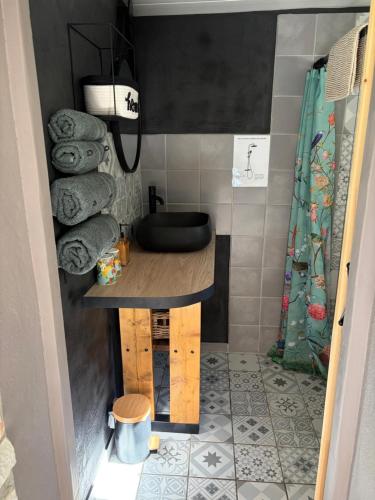 a small bathroom with a sink in a room at Le petit cabanon in Lagorce