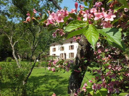 une maison au milieu d'un champ avec des fleurs roses dans l'établissement Chambres d'hôtes La Charmante, à Xertigny