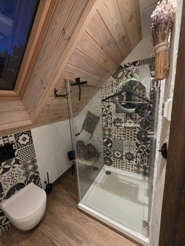 a bathroom with a shower and a toilet in a room at Woodland Apartment Small in Berezka