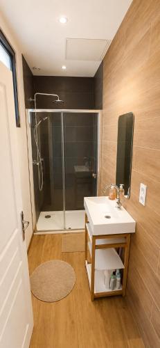 a bathroom with a shower and a sink at Near Train Station in Rennes