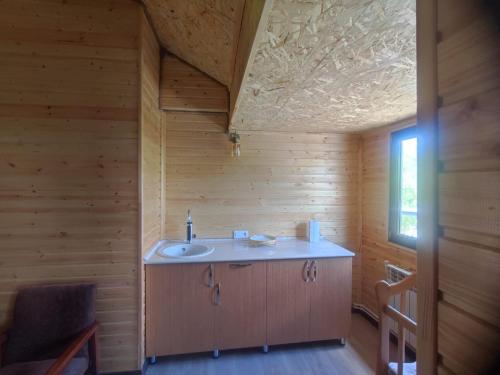 a bathroom with a sink in a wooden room at Eva Guesthouse in Odzun