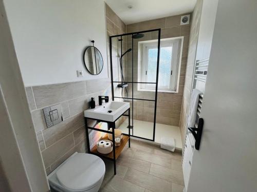 a bathroom with a shower and a toilet and a sink at Le Petit Bourdieu - Chevreuil in Jurançon