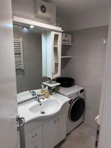 a bathroom with a sink and a washing machine at Residence 16 in Belgrade