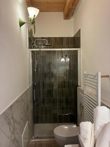 a bathroom with a shower with a toilet and a sink at Almarè in Grottammare