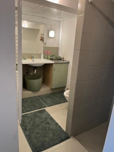 a bathroom with a sink and a toilet at BeBaBopS Homestay Sønderborg in Sønderborg