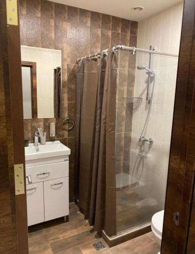 a bathroom with a shower and a sink at Kechi Dom 6 in Tsaghkadzor