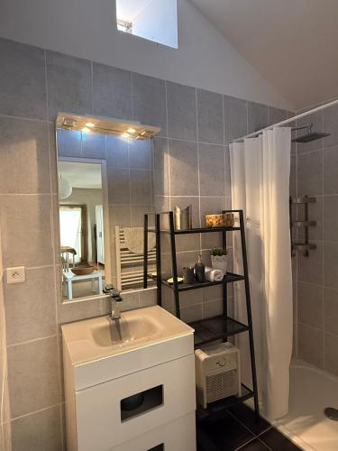 a bathroom with a sink and a mirror and a shower at Le Châtaignier in Faveyrolles