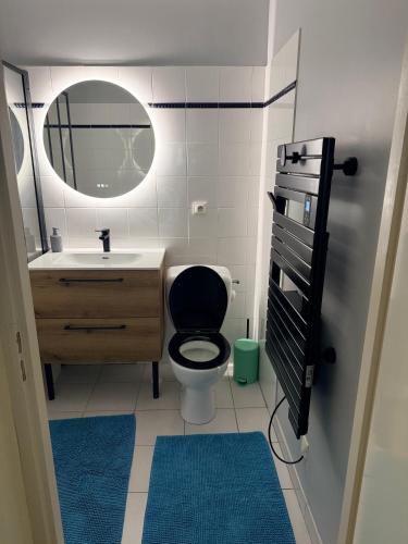 Studio Toulouse hyper centre Pont Neuf St Cyprien