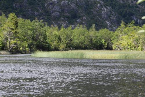 a view of a river with trees in the background at Baker Domo Lodge in Cochrane